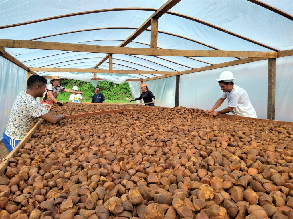 Sabonete de Andiroba: O Segredo Amazônico para uma Pele Saudável e Protegida